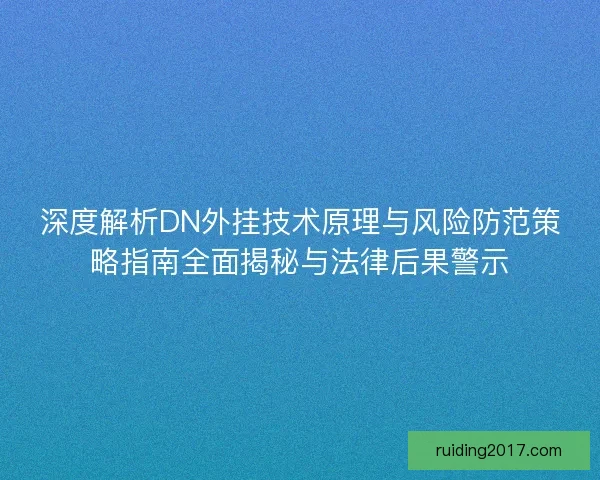 深度解析DN外挂技术原理与风险防范策略指南全面揭秘与法律后果警示